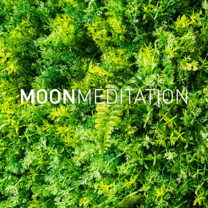 收聽Moon Slaapmuziek的Just Like The Sun歌詞歌曲