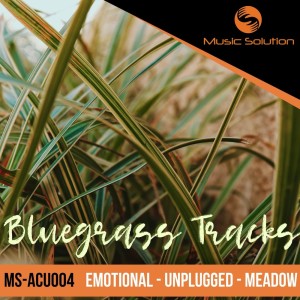 收听Music Solution的Apesar歌词歌曲