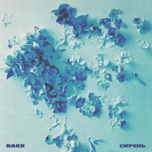 Album Сирень from Bakr