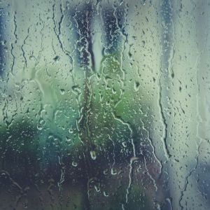 Dengarkan lagu Placid Rainfall nyanyian Rain Sounds dengan lirik