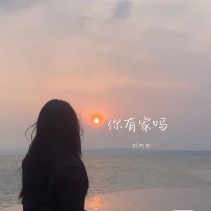 Listen to 你有家吗 有温暖的女孩子在家里等你吗  song with lyrics from DJ阿智