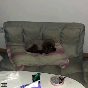 Album Lazy Flow Freestyle （Prod.frozy） from Dayfly
