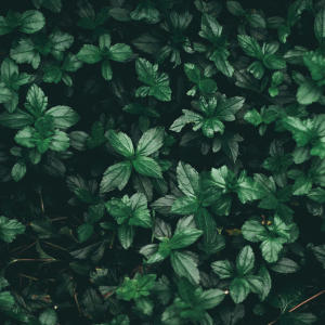 收聽CATVLYST的Making Drill (lol) (Explicit)歌詞歌曲