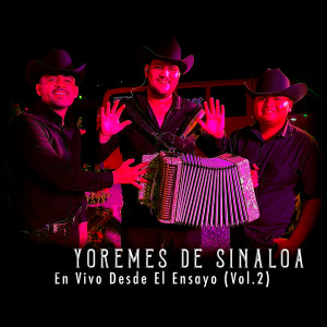 Listen to El Zorro (En Vivo) song with lyrics from Yoremes De Sinaloa