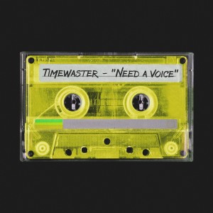 Listen to Need a Voice (Explicit) song with lyrics from TimeWaster