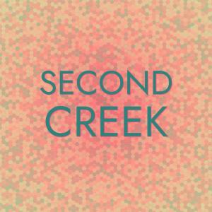 อัลบัม Second Creek ศิลปิน Various