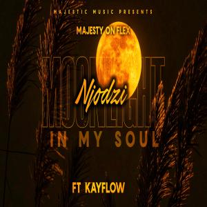 Dengarkan Njodzi (feat. Kayflow) lagu dari Majesty On FleX dengan lirik