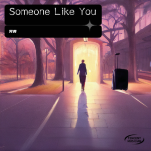 Album Someone Like You from 霁青