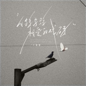Album 白鸽乌鸦相爱的戏码 oleh 小潘潘