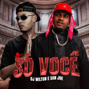 Album Só Você from DJ Wilton