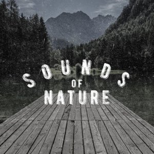 Sounds of Nature: Meditation