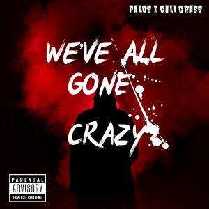 อัลบัม We've All Gone Crazy (feat. Cali Grass) ศิลปิน Palos