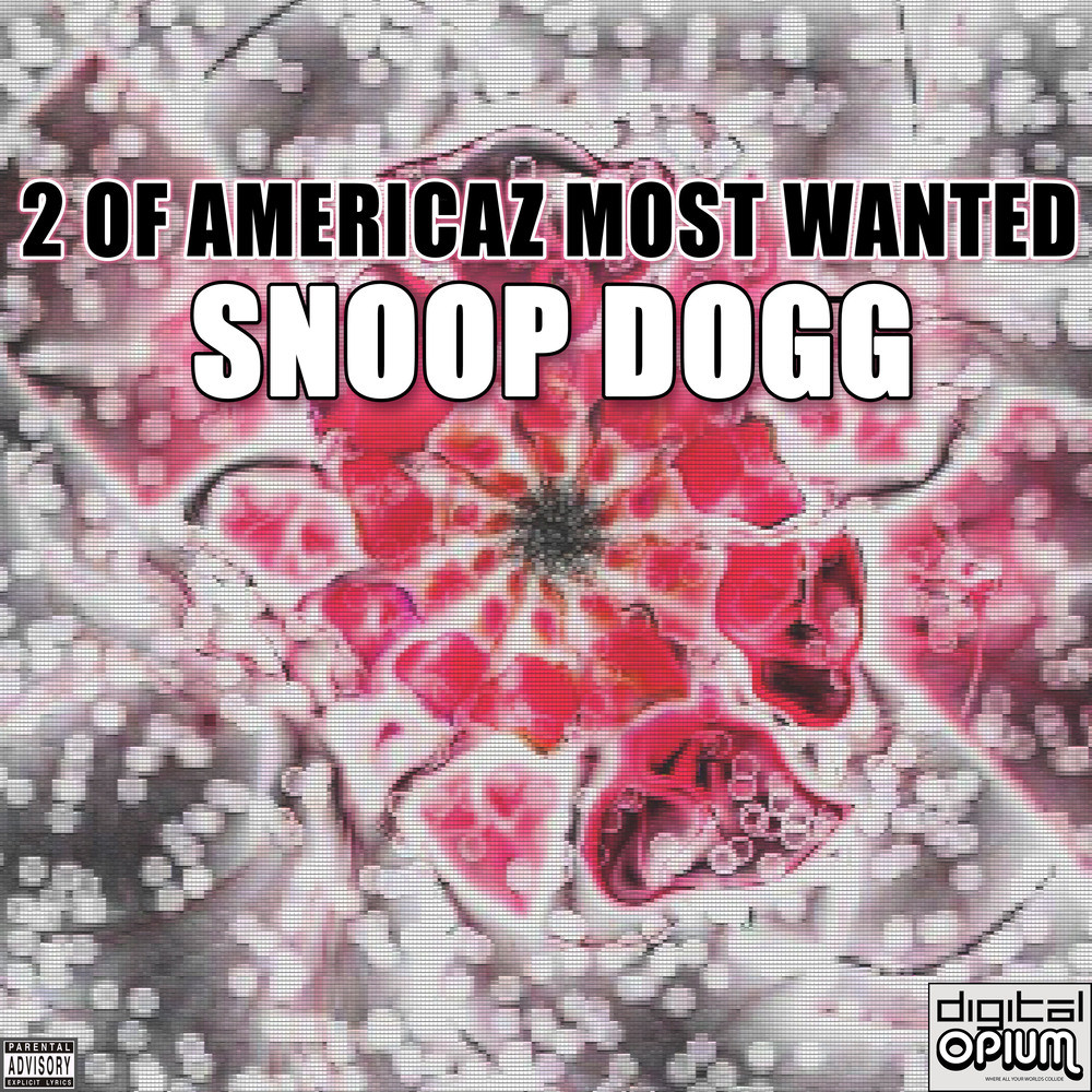 2 Of Americaz Most Wanted (Explicit)