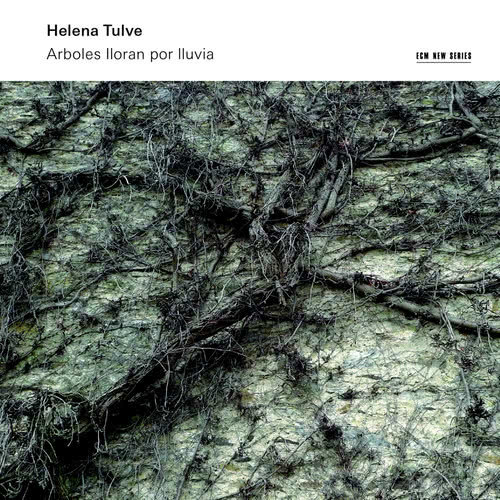 Tulve: Arboles lloran por lluvia