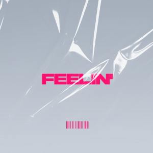 收听Reginald的Feelin' (Explicit)歌词歌曲