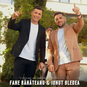 Listen to Vreau Să Mă Petrec, Până La 100 ! song with lyrics from Fane Banateanu
