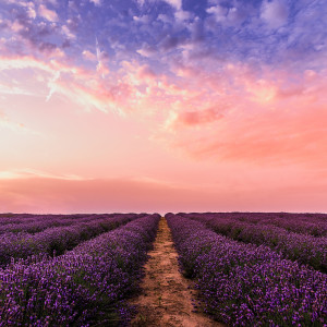 Listen to Summer Calm song with lyrics from Relaxing Music