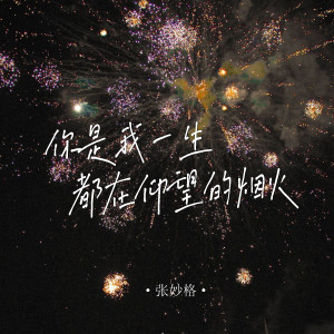 ดาวน์โหลดและฟังเพลง 你是我一生都在仰望的烟火 พร้อมเนื้อเพลงจาก 张妙格
