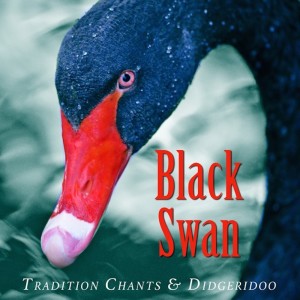 Ash Dargan的專輯Black Swan