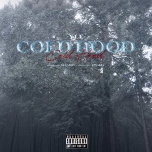 Listen to COLD HOOD (Explicit) song with lyrics from YLE SKLUG