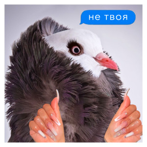 收聽Graph的Не твоя歌詞歌曲