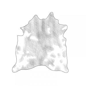 Album 2. El cuero from Carlo Seminara