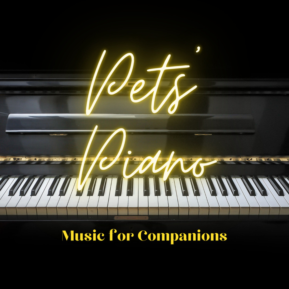 Pets' Piano's Gentle Play