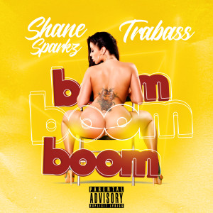 ดาวน์โหลดและฟังเพลง Boom Boom Boom (Explicit) พร้อมเนื้อเพลงจาก Shane Sparkz
