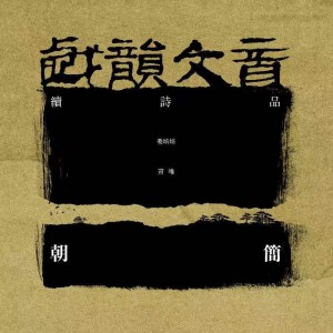 อัลบัม 戏韵文音·续诗品 ศิลปิน 窦唯