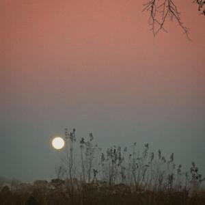 Dengarkan lagu Neo (Explicit) nyanyian Kegan dengan lirik