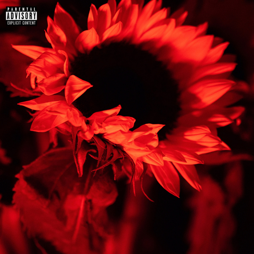Nonchalant (Explicit)