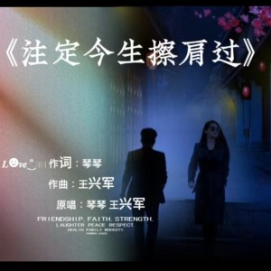 Listen to 注定今生擦肩过 (完整版) song with lyrics from 王兴军