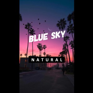 收聽NATURAL的Blue Sky歌詞歌曲