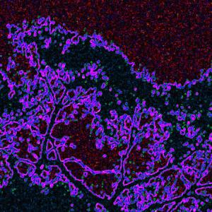 ดาวน์โหลดและฟังเพลง Drowsy พร้อมเนื้อเพลงจาก brudduh