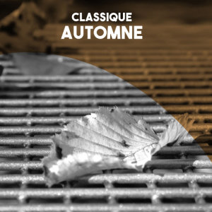 Moscow RTV Symphony Orchestra的专辑Classique: Automne