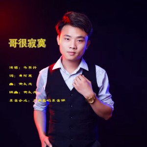 Listen to 哥很寂寞 (伴奏) song with lyrics from 朱东升