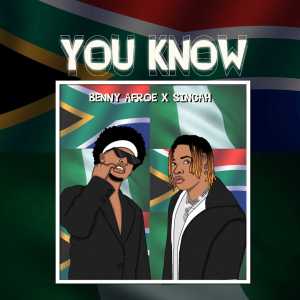 Listen to You Know (Instrumental) song with lyrics from Benny Afroe
