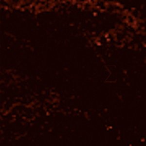 收聽Summe的Historical Amnesia, Pt. 1 (其他)歌詞歌曲