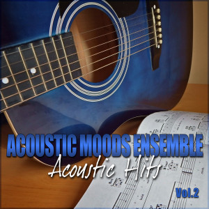 Listen to Hotel California song with lyrics from Acoustic Moods Ensemble