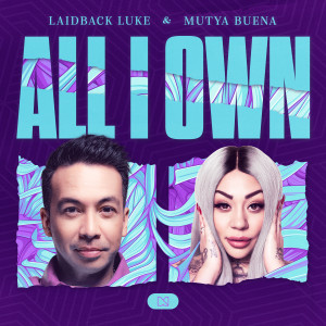 Album All I Own from Laidback Luke