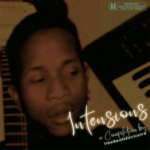 Album Intensions Compilation from VeeBeatsExclusive