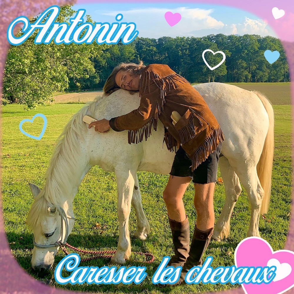 Caresser les chevaux