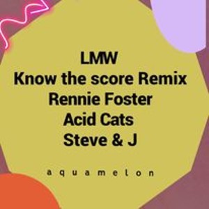 ดาวน์โหลดและฟังเพลง Know the Score Remixes (Remix Steve Nash & Jason Kallis) พร้อมเนื้อเพลงจาก Lmw