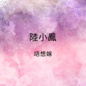 收聽陸小鳳的雨打芭蕉歌詞歌曲