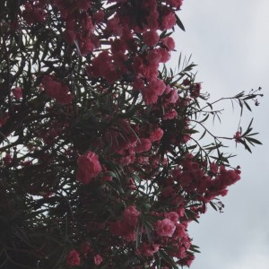 收聽John Da Lemon的Long Time歌詞歌曲