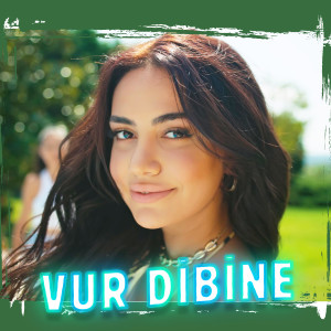 Album Vur Dibine from 