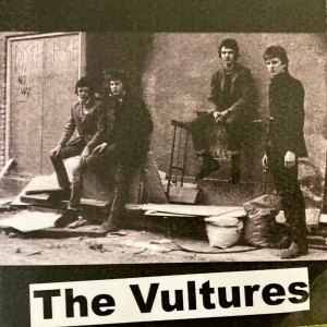 The Vultures的專輯The Vultures