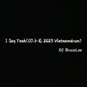 I Say Yeah(DJ小龙 2023 Vietnamdrum ) dari 小龙Music