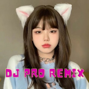 收听DJ PRO REMIX的DJ tetap Bertahan歌词歌曲