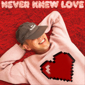 Riton的專輯Never Knew Love (feat. Enisa)